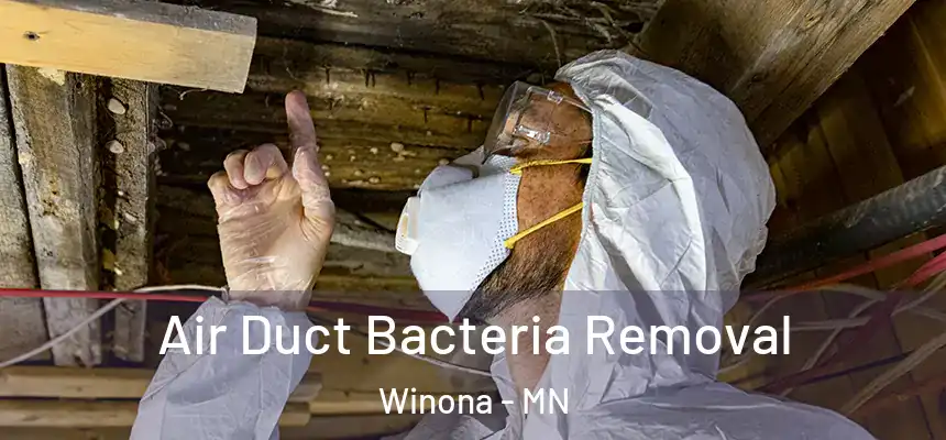  Air Duct Bacteria Removal Winona - MN
