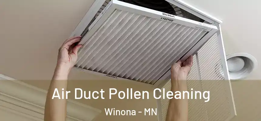  Air Duct Pollen Cleaning Winona - MN