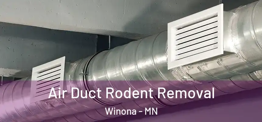  Air Duct Rodent Removal Winona - MN