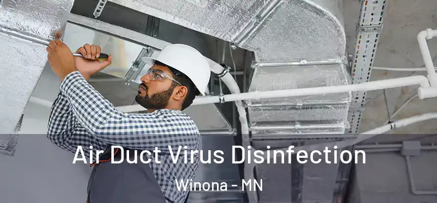 Air Duct Virus Disinfection Winona - MN