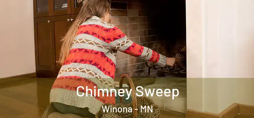  Chimney Sweep Winona - MN
