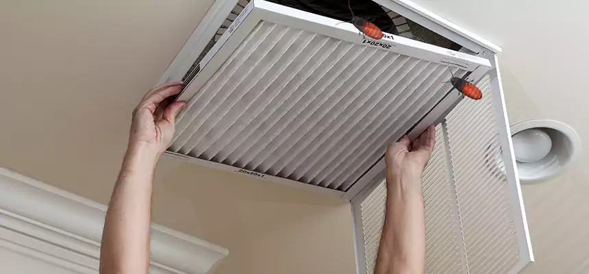 Preventive Cockroach-Proofing for Ducts in Winona