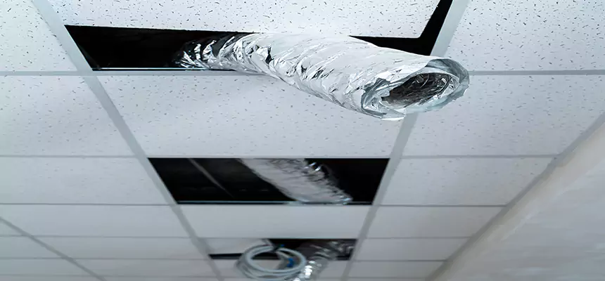 Our Air Duct Pet Hair Removal Services in Winona, MN