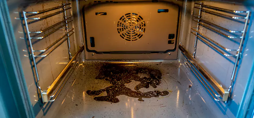 Our Dryer Vent Mold Cleaning Services in Winona, MN