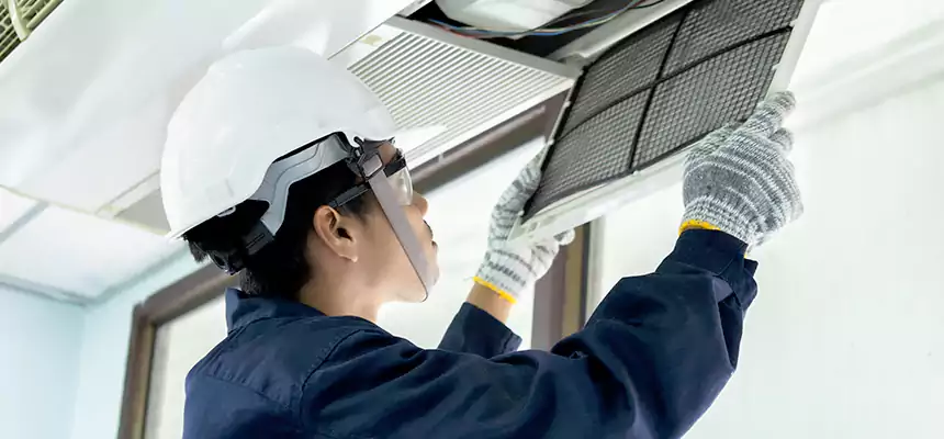 Our Mold & Mildew Removal from Air Ducts Services in Winona, MN