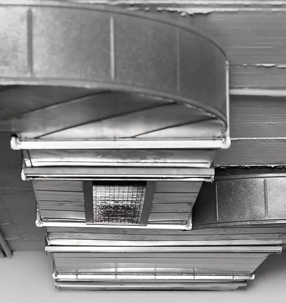 Professional Air Duct Pest Removal in Winona, MN