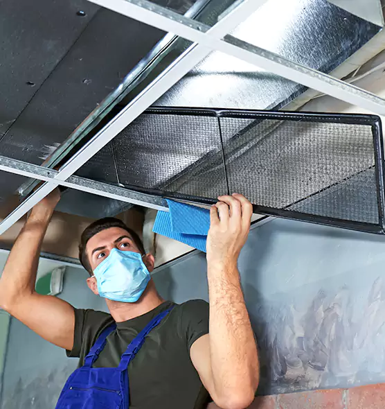 Professional Air Duct Pollen Cleaning in Winona, MN