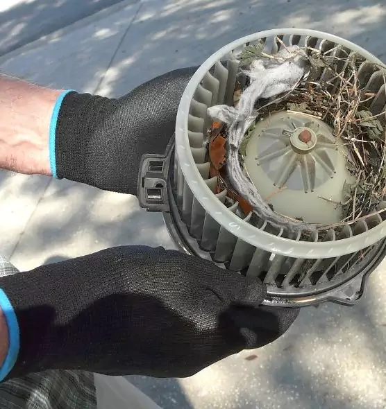 About Air Duct Rat Removal in Winona, MN