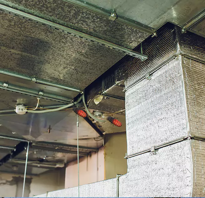 Why Homeowners & Businesses Trust Us Winona, MN?