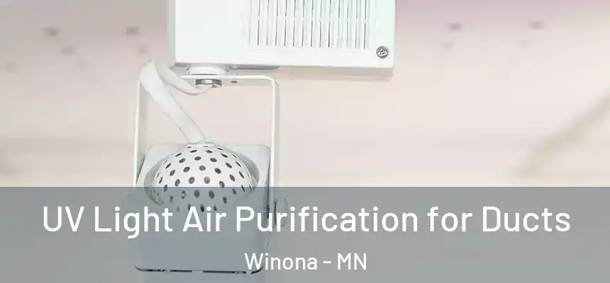  UV Light Air Purification for Ducts Winona - MN